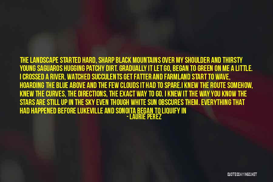 The White Mountains Quotes By Laurie Perez