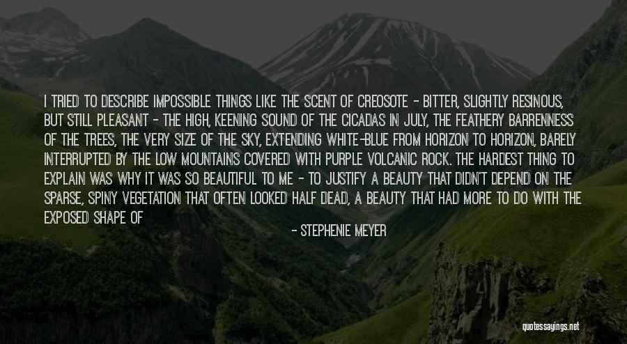 The White Mountains Quotes By Stephenie Meyer