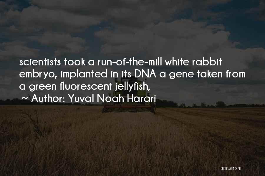 The White Rabbit Quotes By Yuval Noah Harari