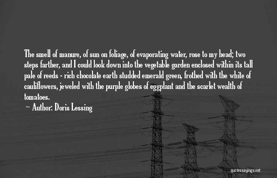 The White Rose Quotes By Doris Lessing