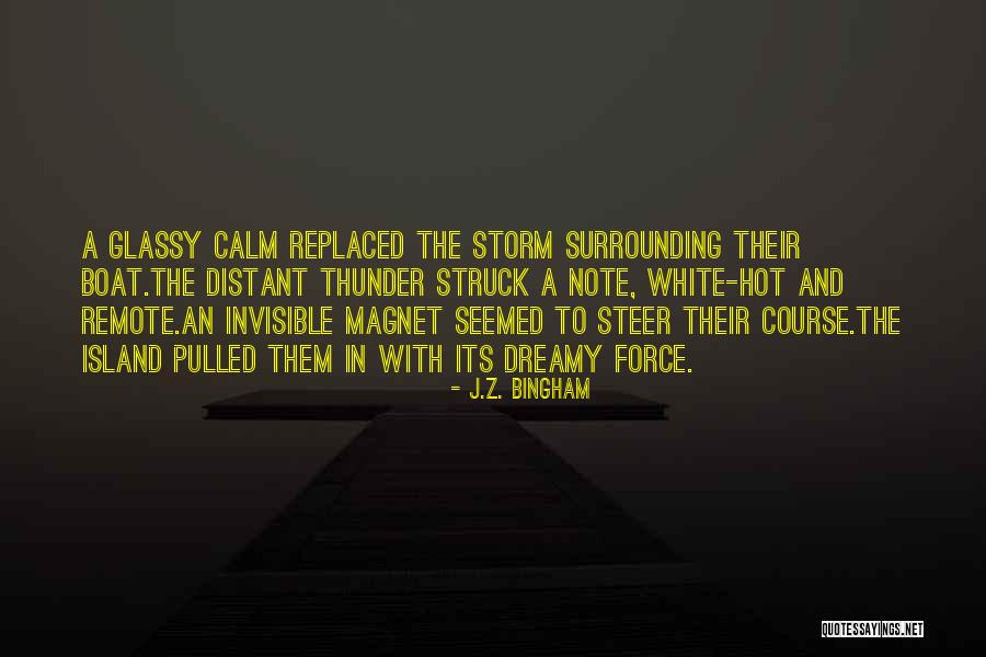 The White Storm Quotes By J.Z. Bingham