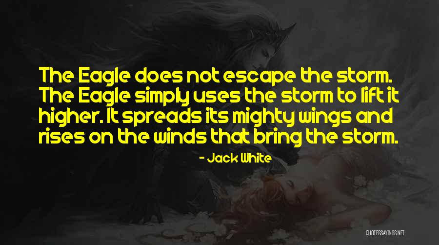 The White Storm Quotes By Jack White