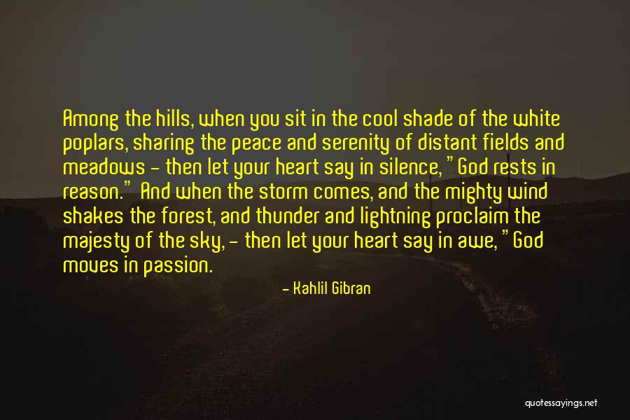 The White Storm Quotes By Kahlil Gibran