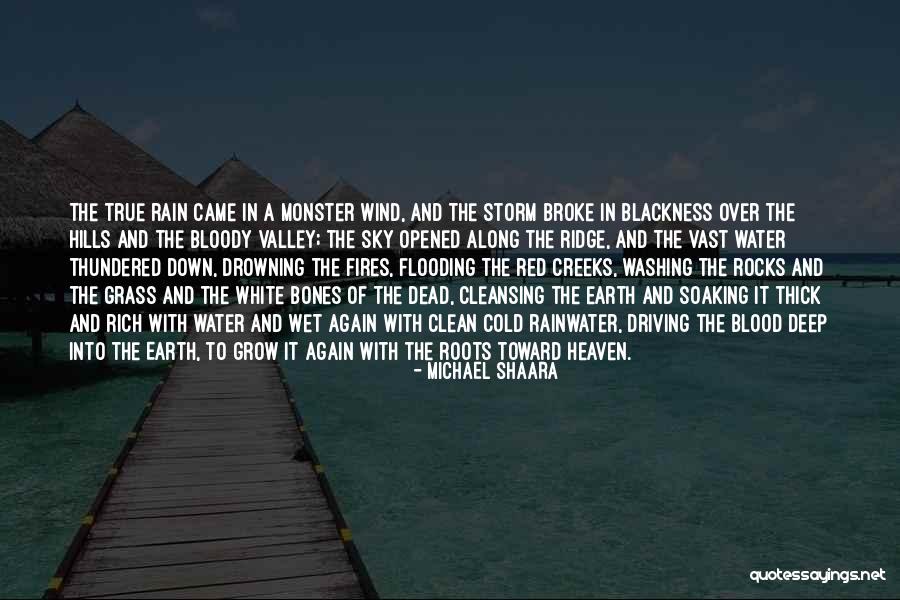 The White Storm Quotes By Michael Shaara