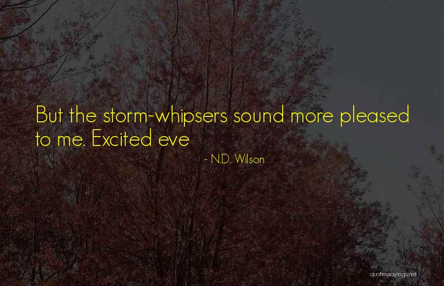 The White Storm Quotes By N.D. Wilson