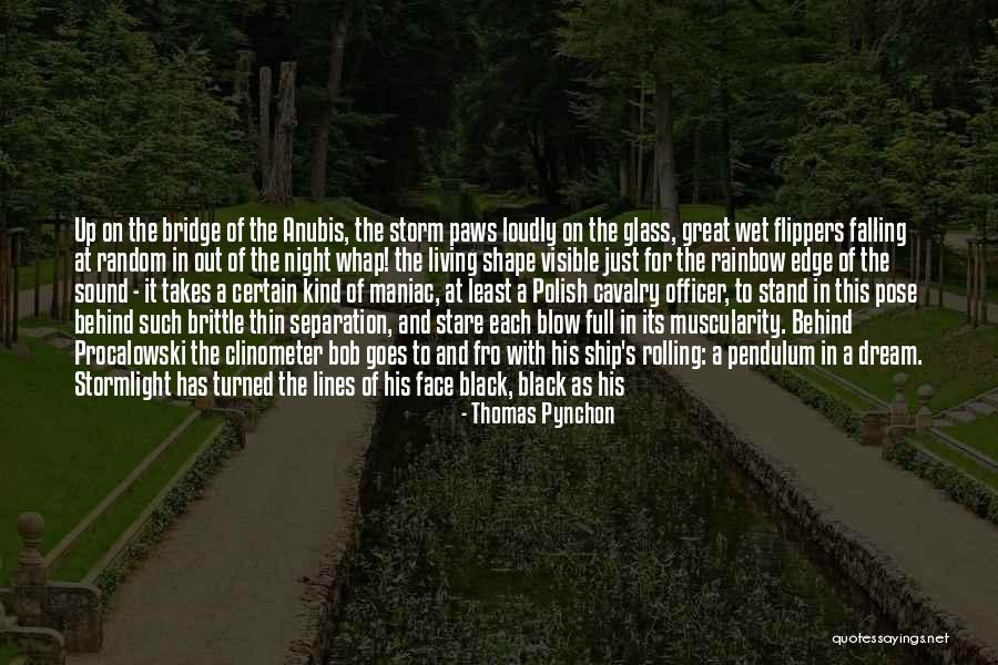 The White Storm Quotes By Thomas Pynchon