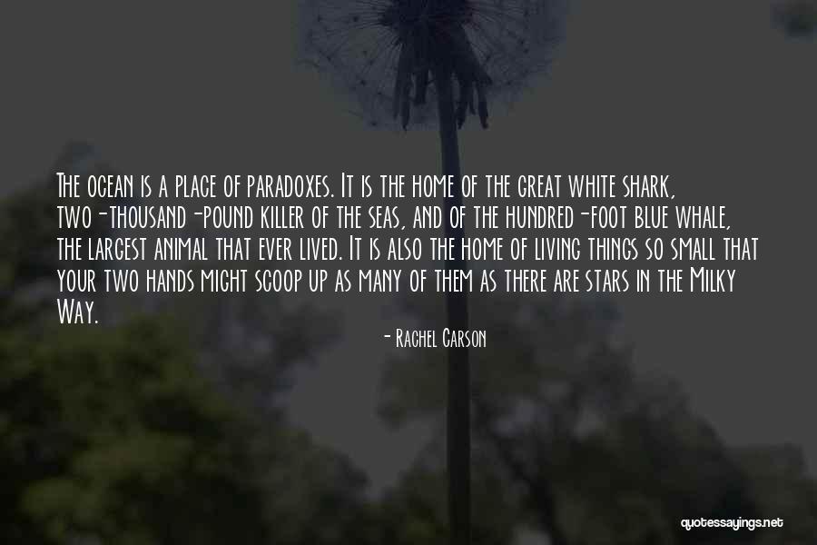 The White Whale Quotes By Rachel Carson The White Whale Quotes By Rachel Carson