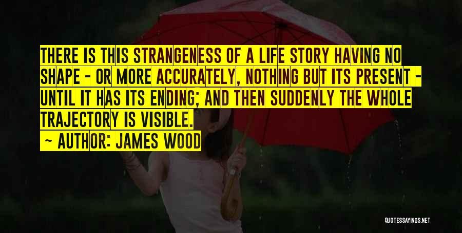 The Whole Story Quotes By James Wood