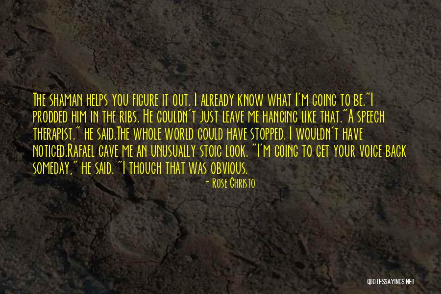 The Whole World Helps You Quotes By Rose Christo The Whole World Helps You Quotes By Rose Christo