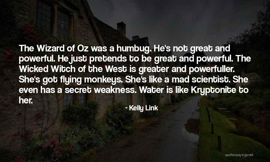 The Wicked And The Just Quotes By Kelly Link The Wicked And The Just Quotes By Kelly Link
