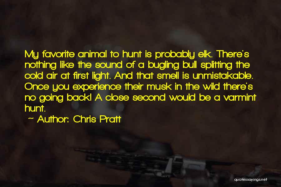 The Wild Hunt Quotes By Chris Pratt