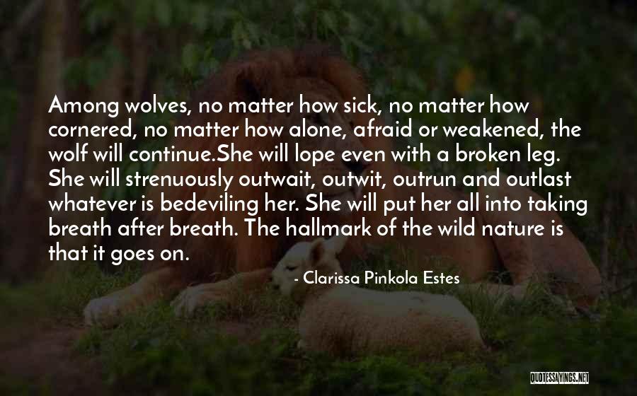 The Wild Nature Quotes By Clarissa Pinkola Estes The Wild Nature Quotes By Clarissa Pinkola Estes