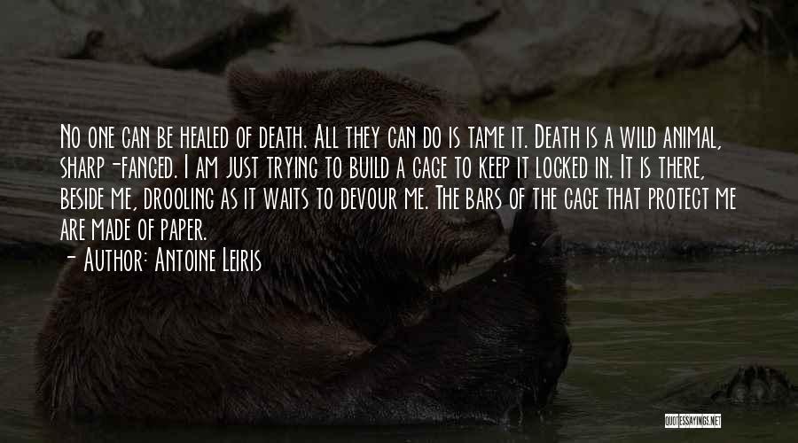 The Wild One Quotes By Antoine Leiris