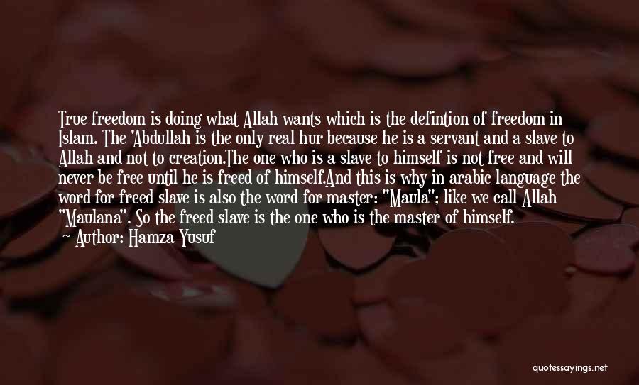 The Will Of Allah Quotes By Hamza Yusuf