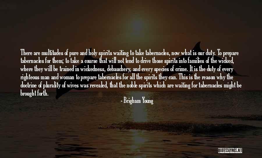 The Will Of Man Quotes By Brigham Young The Will Of Man Quotes By Brigham Young