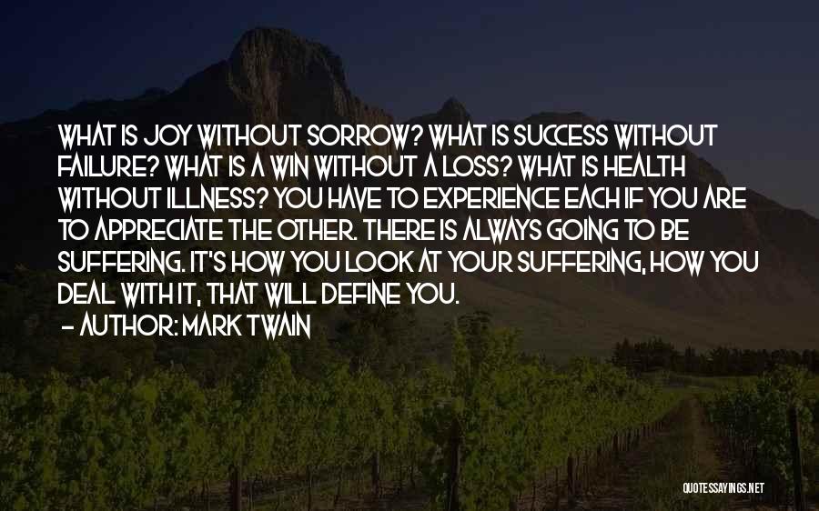 The Will To Win Quotes By Mark Twain