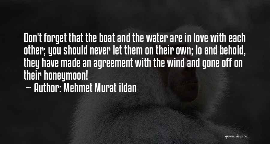 The Wind And Love Quotes By Mehmet Murat Ildan