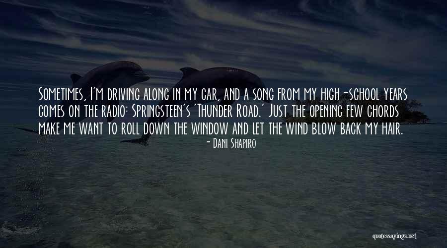 The Wind In My Hair Quotes By Dani Shapiro The Wind In My Hair Quotes By Dani Shapiro