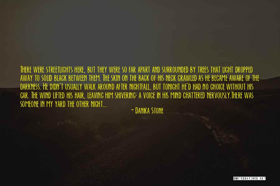 The Wind In My Hair Quotes By Danika Stone The Wind In My Hair Quotes By Danika Stone