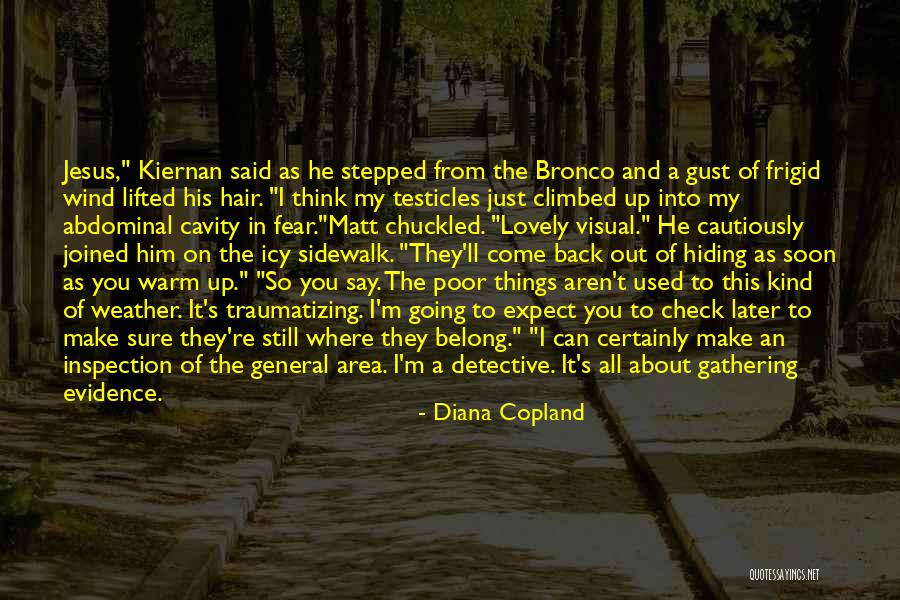 The Wind In My Hair Quotes By Diana Copland The Wind In My Hair Quotes By Diana Copland