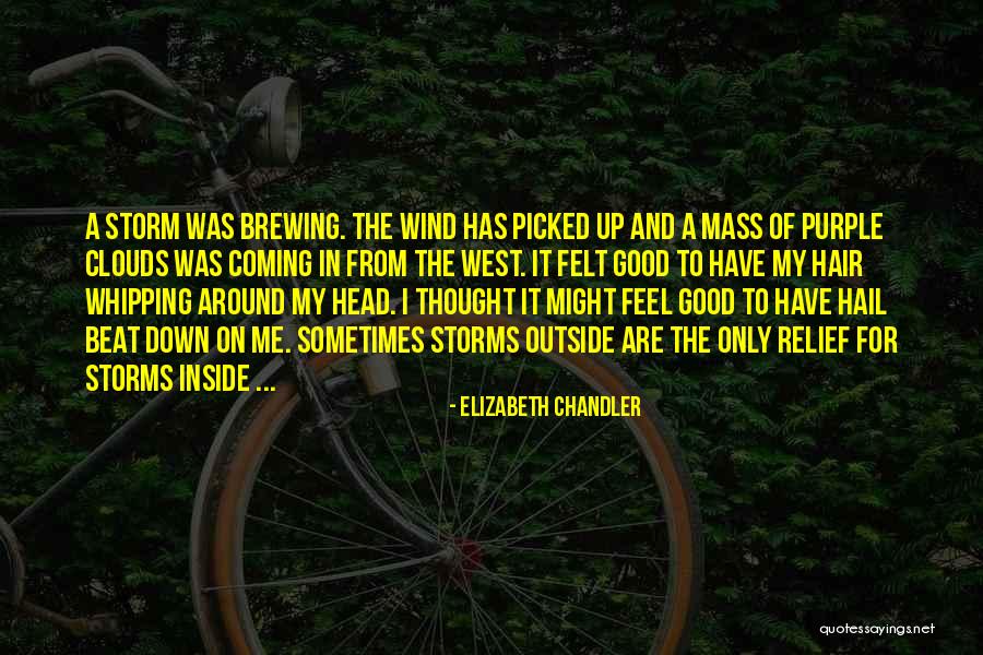 The Wind In My Hair Quotes By Elizabeth Chandler