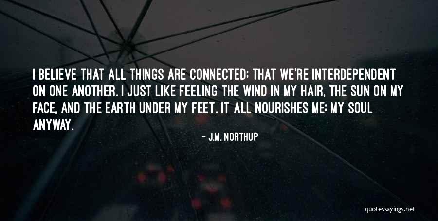 The Wind In My Hair Quotes By J.M. Northup The Wind In My Hair Quotes By J.M. Northup