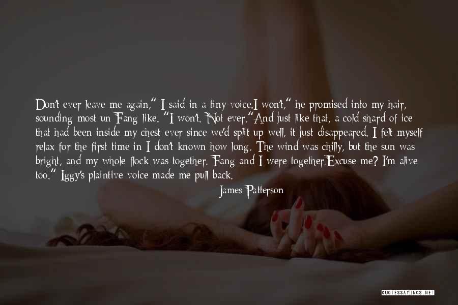 The Wind In My Hair Quotes By James Patterson