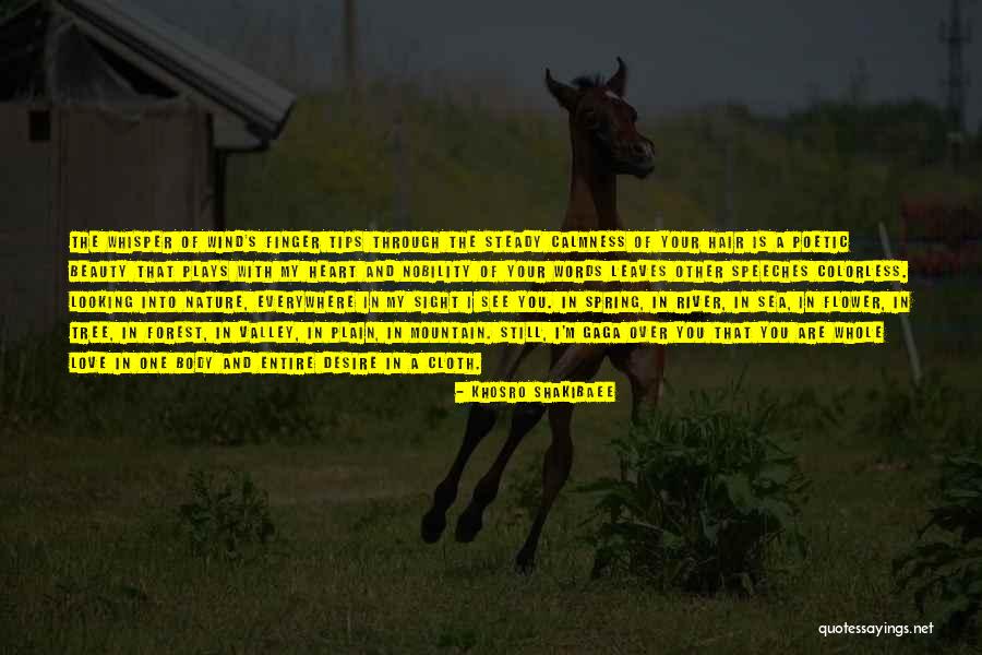 The Wind In My Hair Quotes By Khosro Shakibaee The Wind In My Hair Quotes By Khosro Shakibaee