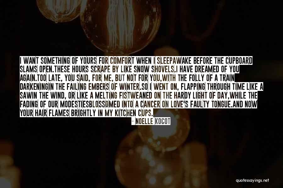 The Wind In My Hair Quotes By Noelle Kocot The Wind In My Hair Quotes By Noelle Kocot