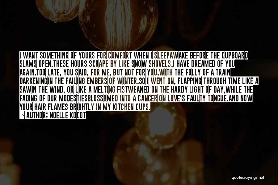 The Wind In Your Hair Quotes By Noelle Kocot