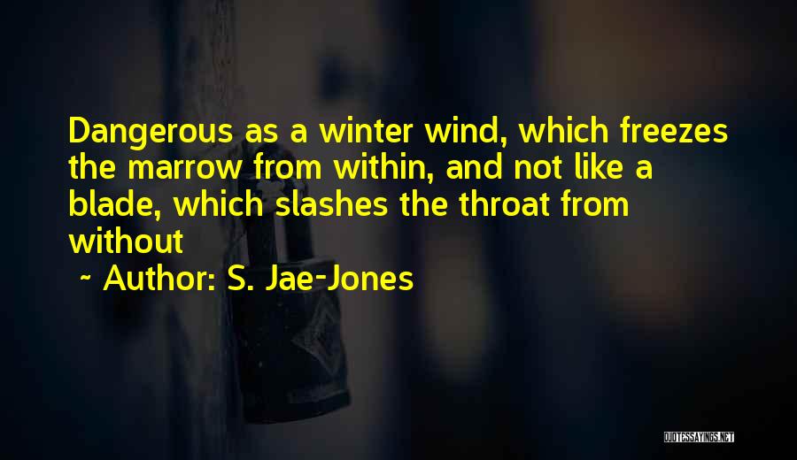 The Wind Quotes By S. Jae-Jones