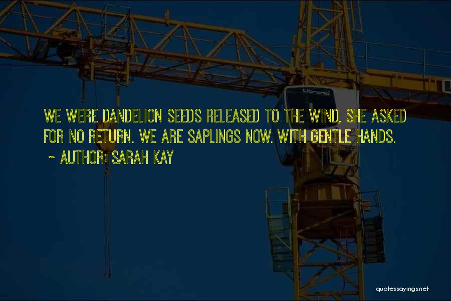 The Wind Quotes By Sarah Kay