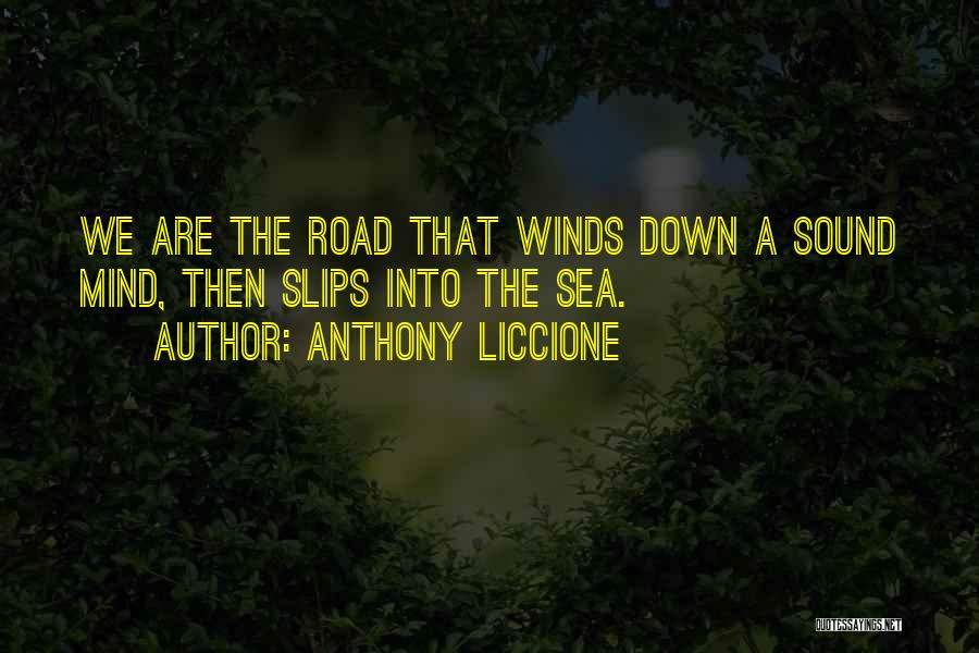 The Winding Road Quotes By Anthony Liccione