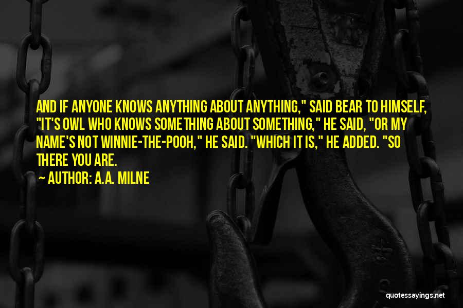 The Winnie The Pooh Quotes By A.A. Milne