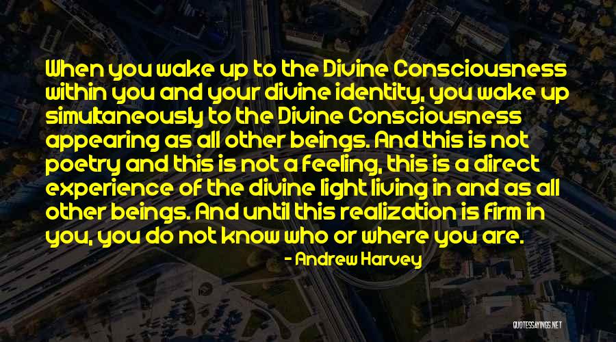 The Wire Beadie Quotes By Andrew Harvey The Wire Beadie Quotes By Andrew Harvey