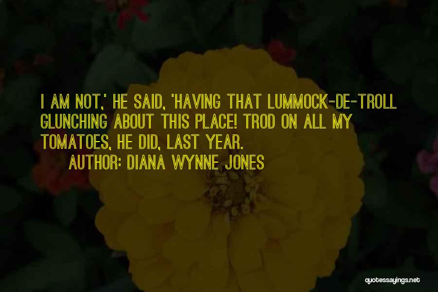 The Wire Gus Haynes Quotes By Diana Wynne Jones