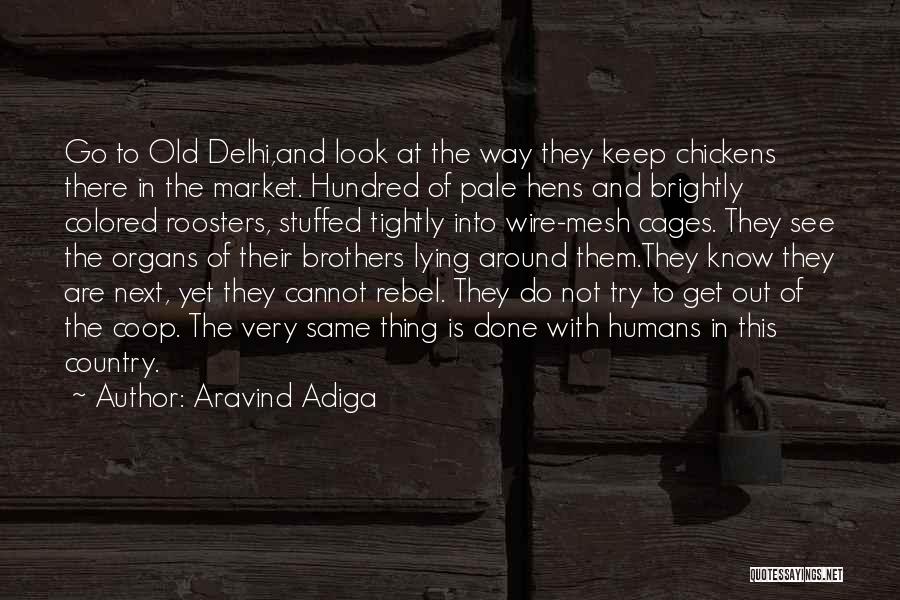 The Wire Quotes By Aravind Adiga