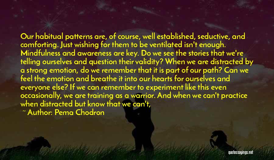 The Wishing Well Quotes By Pema Chodron
