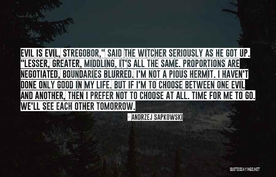 The Witcher Sapkowski Quotes By Andrzej Sapkowski