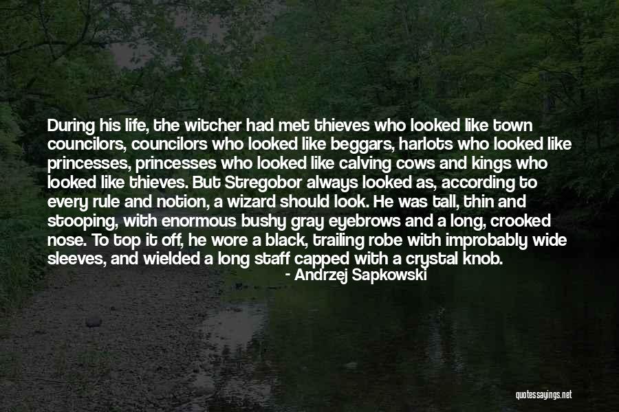 The Witcher Sapkowski Quotes By Andrzej Sapkowski The Witcher Sapkowski Quotes By Andrzej Sapkowski