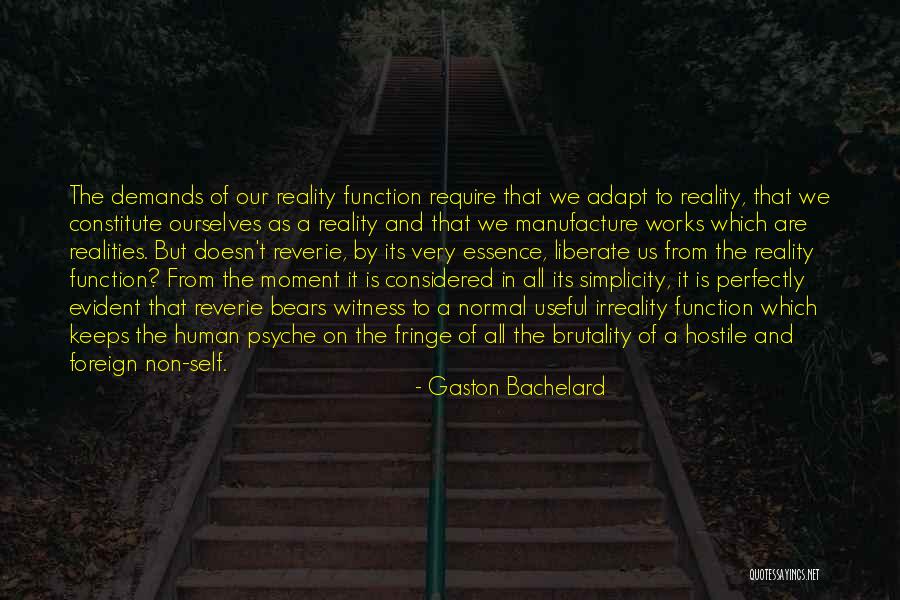 The Witness Quotes By Gaston Bachelard The Witness Quotes By Gaston Bachelard