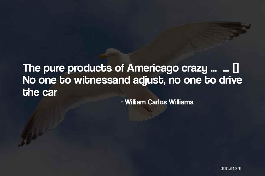The Witness Quotes By William Carlos Williams The Witness Quotes By William Carlos Williams