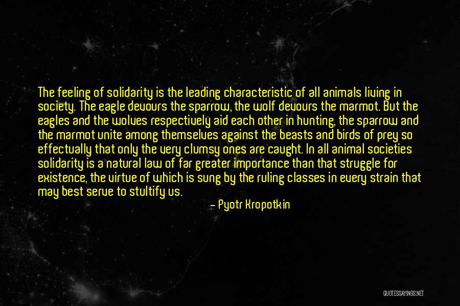 The Wolf Among Us Quotes By Pyotr Kropotkin