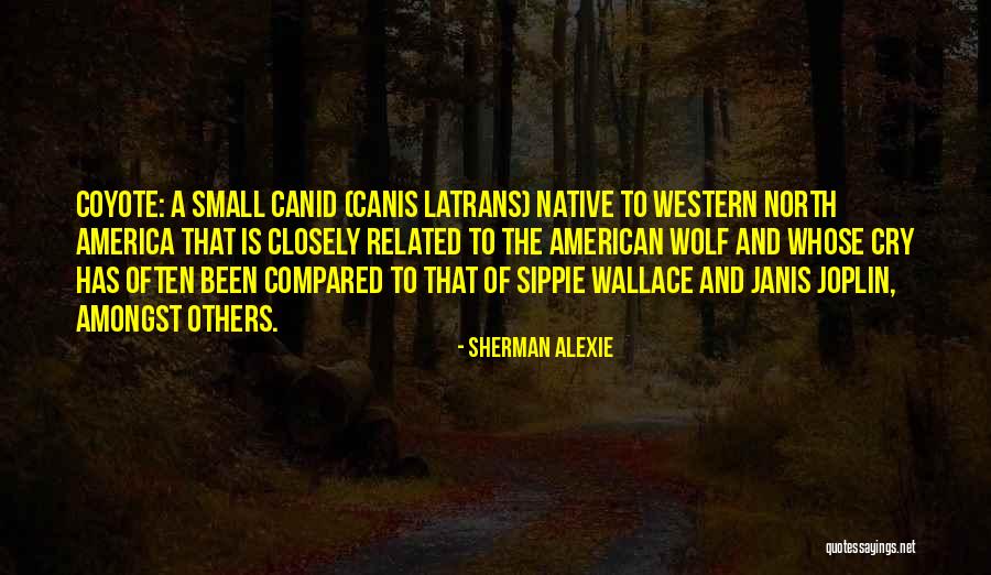 The Wolf S Cry Quotes By Sherman Alexie The Wolf S Cry Quotes By Sherman Alexie