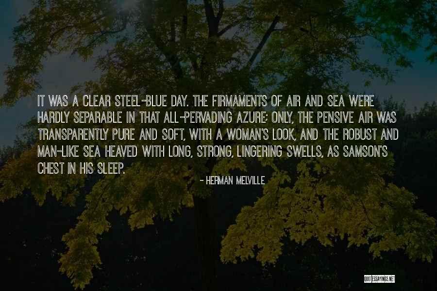 The Woman In Blue Quotes By Herman Melville The Woman In Blue Quotes By Herman Melville