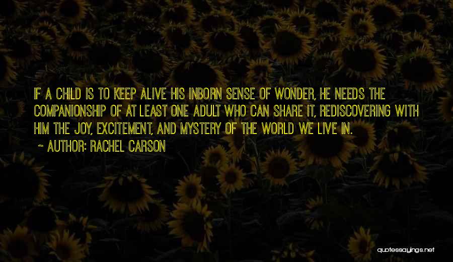 The Wonder Of A Child Quotes By Rachel Carson