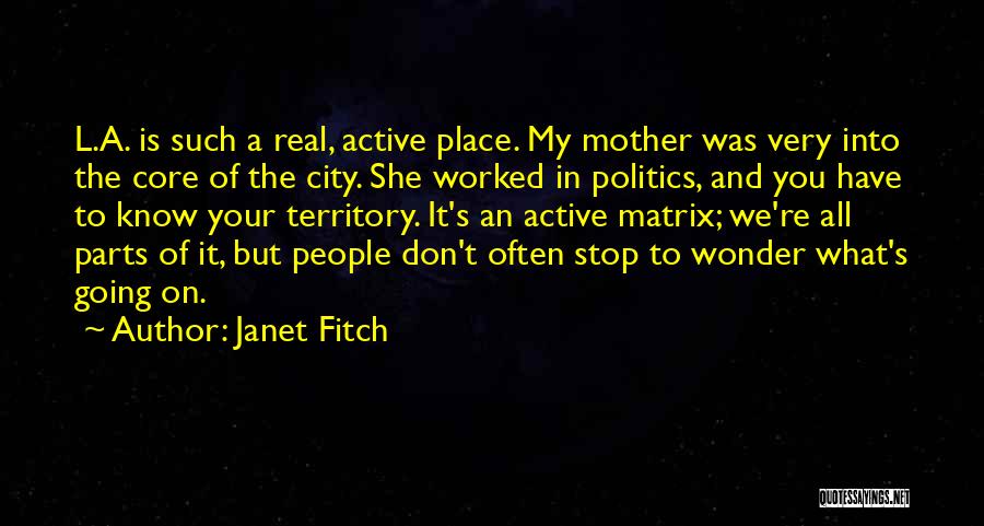 The Wonder Of It All Quotes By Janet Fitch