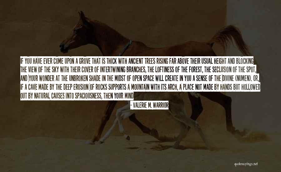 The Wonder Spot Quotes By Valerie M. Warrior The Wonder Spot Quotes By Valerie M. Warrior