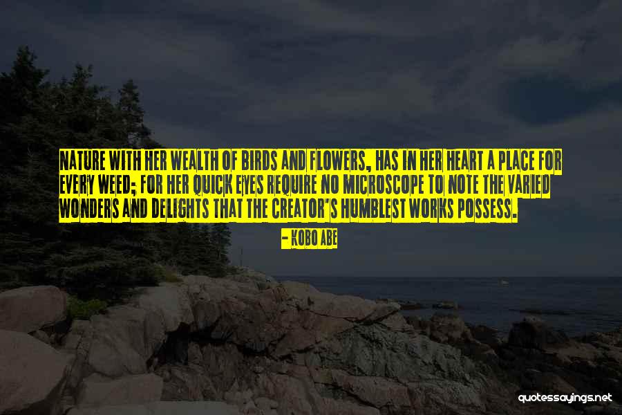 The Wonders Of Nature Quotes By Kobo Abe The Wonders Of Nature Quotes By Kobo Abe