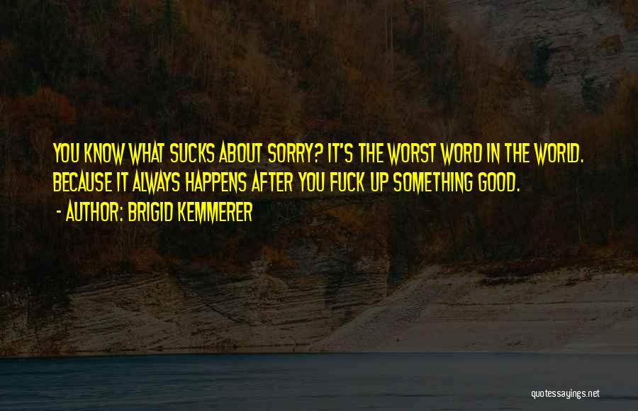 The Word Sorry Quotes By Brigid Kemmerer